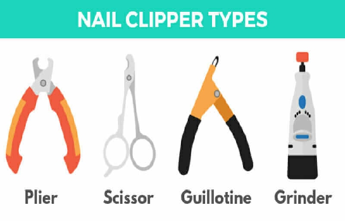 nail clippers