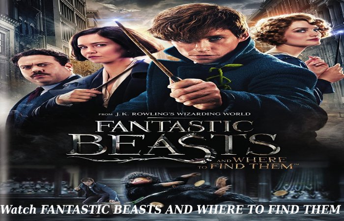 FANTASTIC BEASTS AND WHERE TO FIND THEM