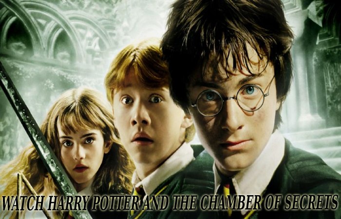 HARRY POTTER AND THE CHAMBER OF SECRETS