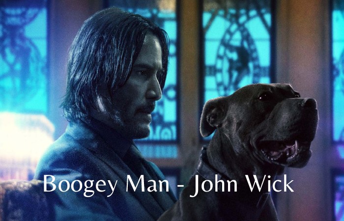John Wick - torrent (2)