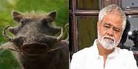 Sanjay Mishra As Pumbaa