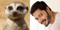 Shreyas Talpade as Timon