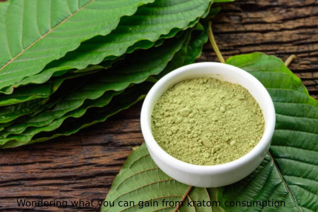 Wondering what you can gain from kratom consumption_ Find out