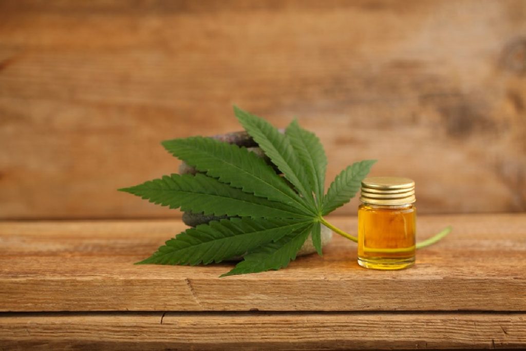 What Are The Benefits Of CBD Oil For Dogs