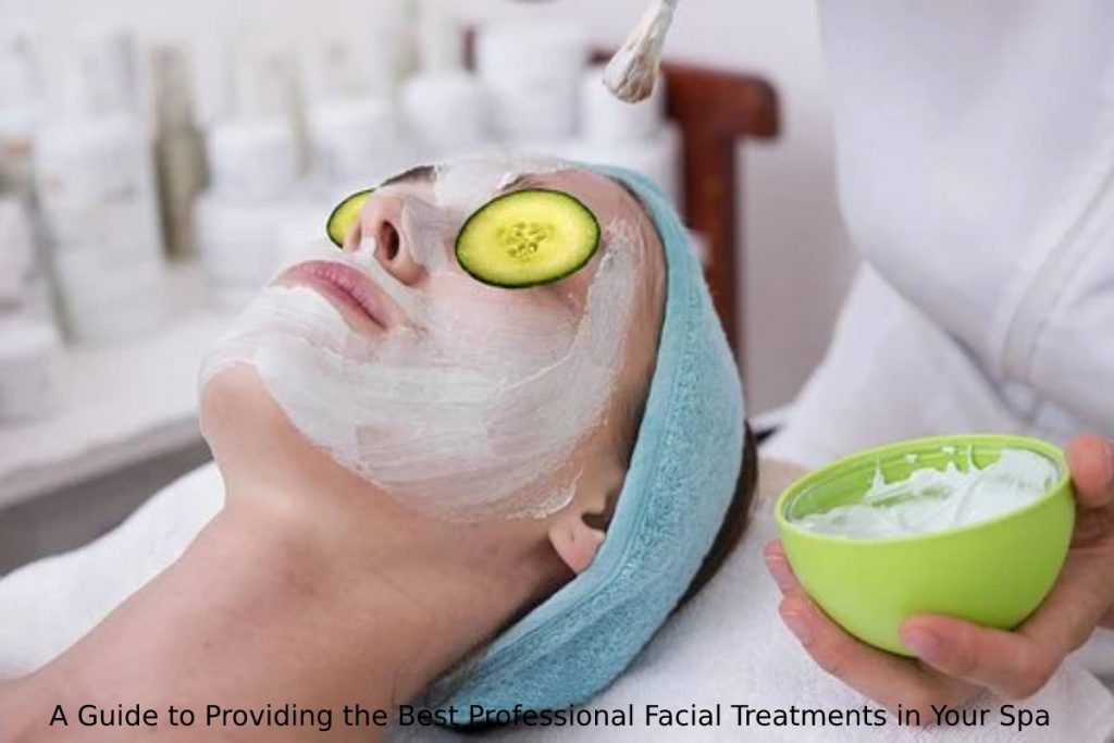 A Guide to Providing the Best Professional Facial Treatments in Your Spa