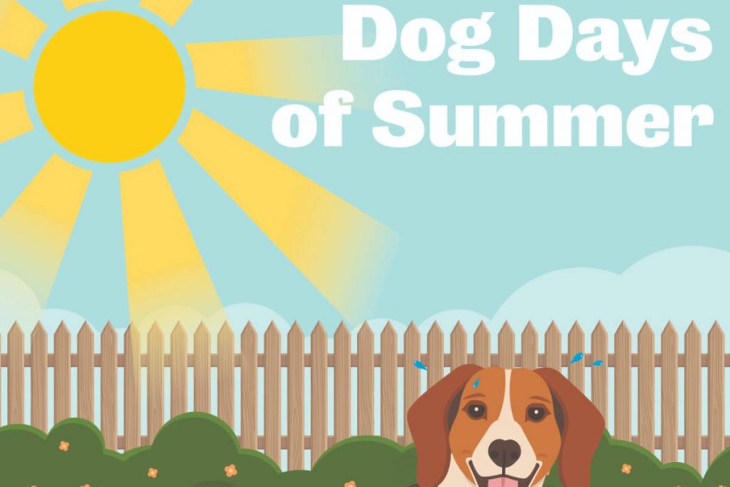How You and Your Skin Can Survive the Dog Days of Summer