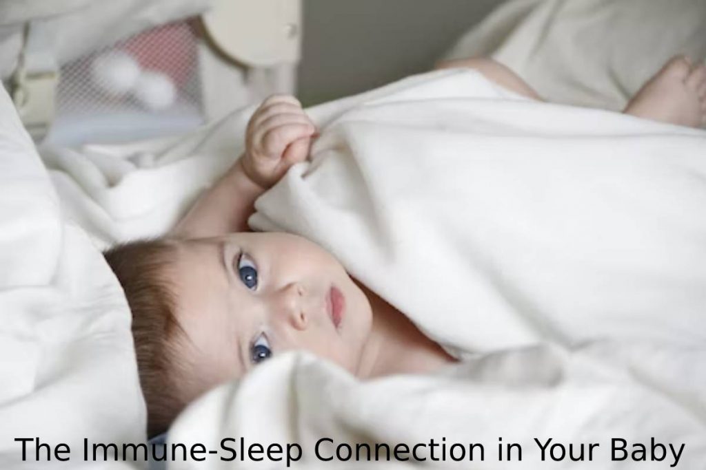 The Immune-Sleep Connection in Your Baby