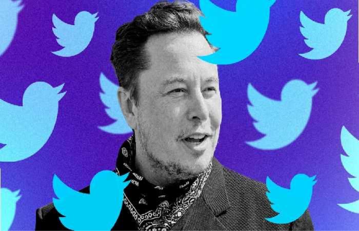 Elon Musk has put a Twitter deal on hold over fake account details