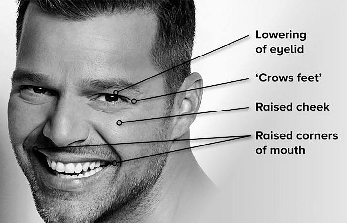 The Muscle Count_ Myth vs. Reality